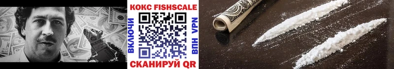 Cocaine FishScale  купить наркотики цена  Ставрополь 