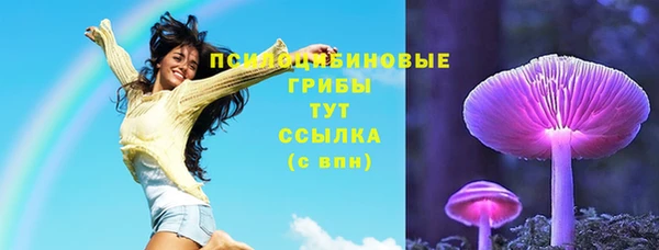 apvp Покровск
