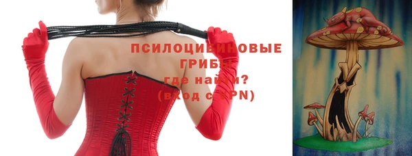 apvp Покровск