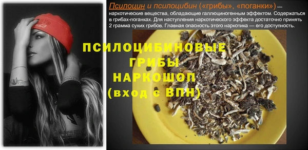 apvp Покровск