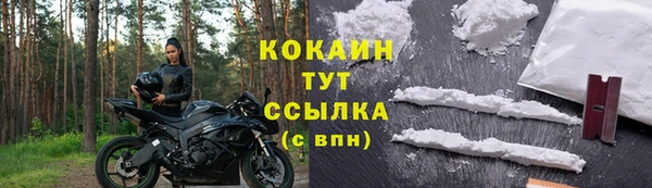 стаф Покачи
