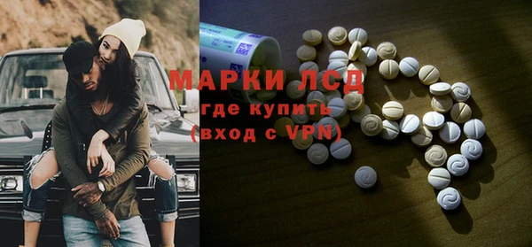 стаф Покачи