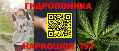 твердый Бийск