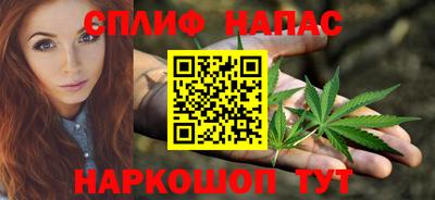 твердый Бийск