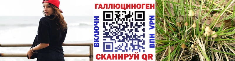 Галлюциногенные грибы Magic Shrooms  Ставрополь 
