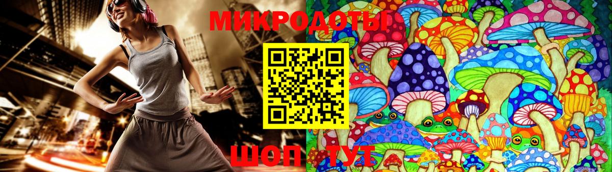 Псилоцибиновые грибы Cubensis  Ставрополь  Галлюциногенные грибы Psilocybine cubensis 