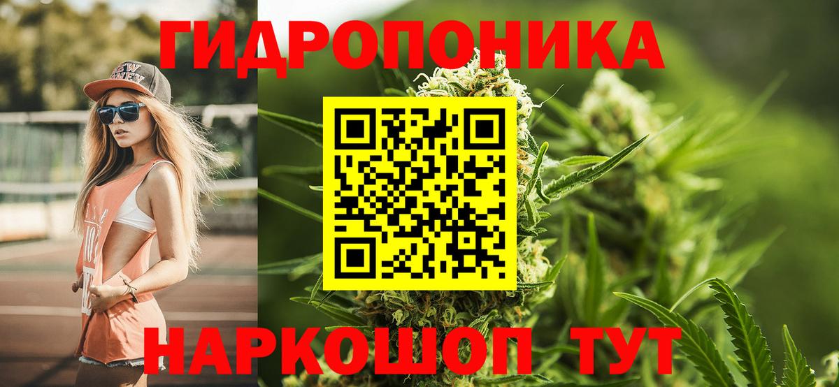 Каннабис гибрид  Ставрополь  Бошки марихуана MAZAR  Марихуана семена 